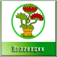 sistemnaya-biologiya-knopki__7